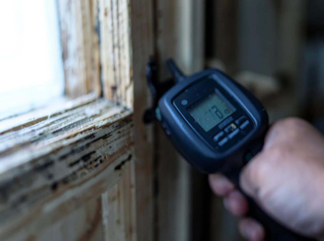 Moisture Inspection And Documentation in Marlow, NH